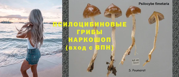 соль ск Абинск